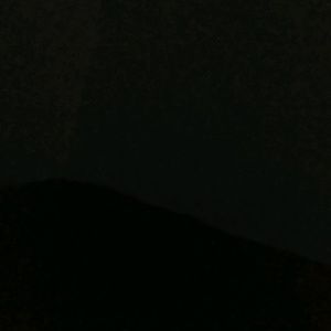 Meet your Posher, Harley